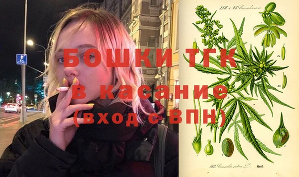 сатива Богданович