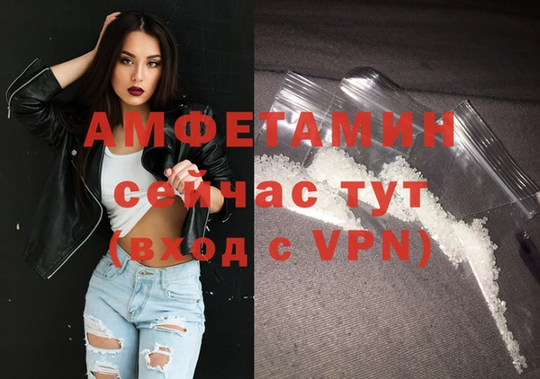 сатива Богданович