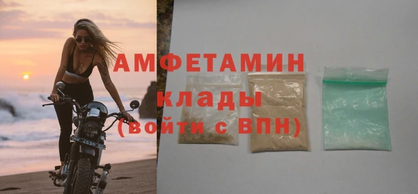 сатива Богданович