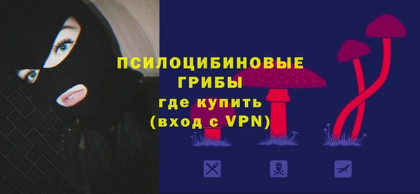 2c-b Богородицк
