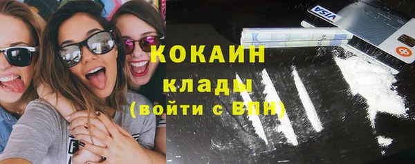 2c-b Богородицк