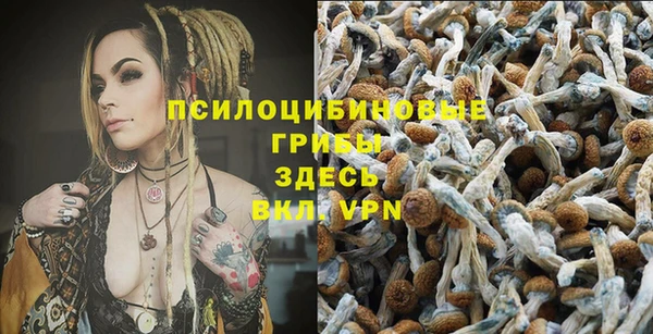 сатива Богданович