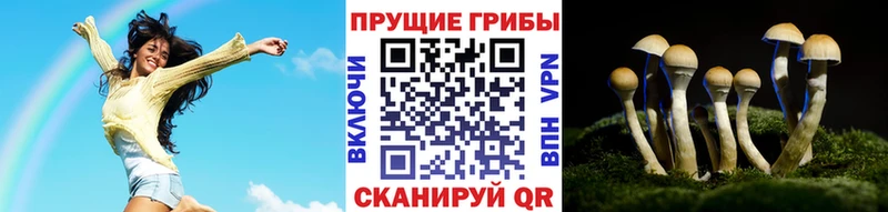Галлюциногенные грибы GOLDEN TEACHER  Дивногорск 