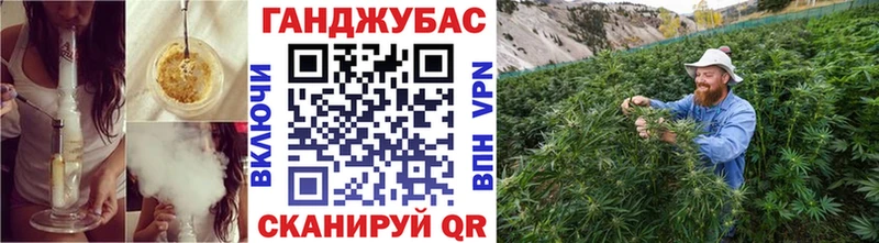 Конопля план  Дивногорск 